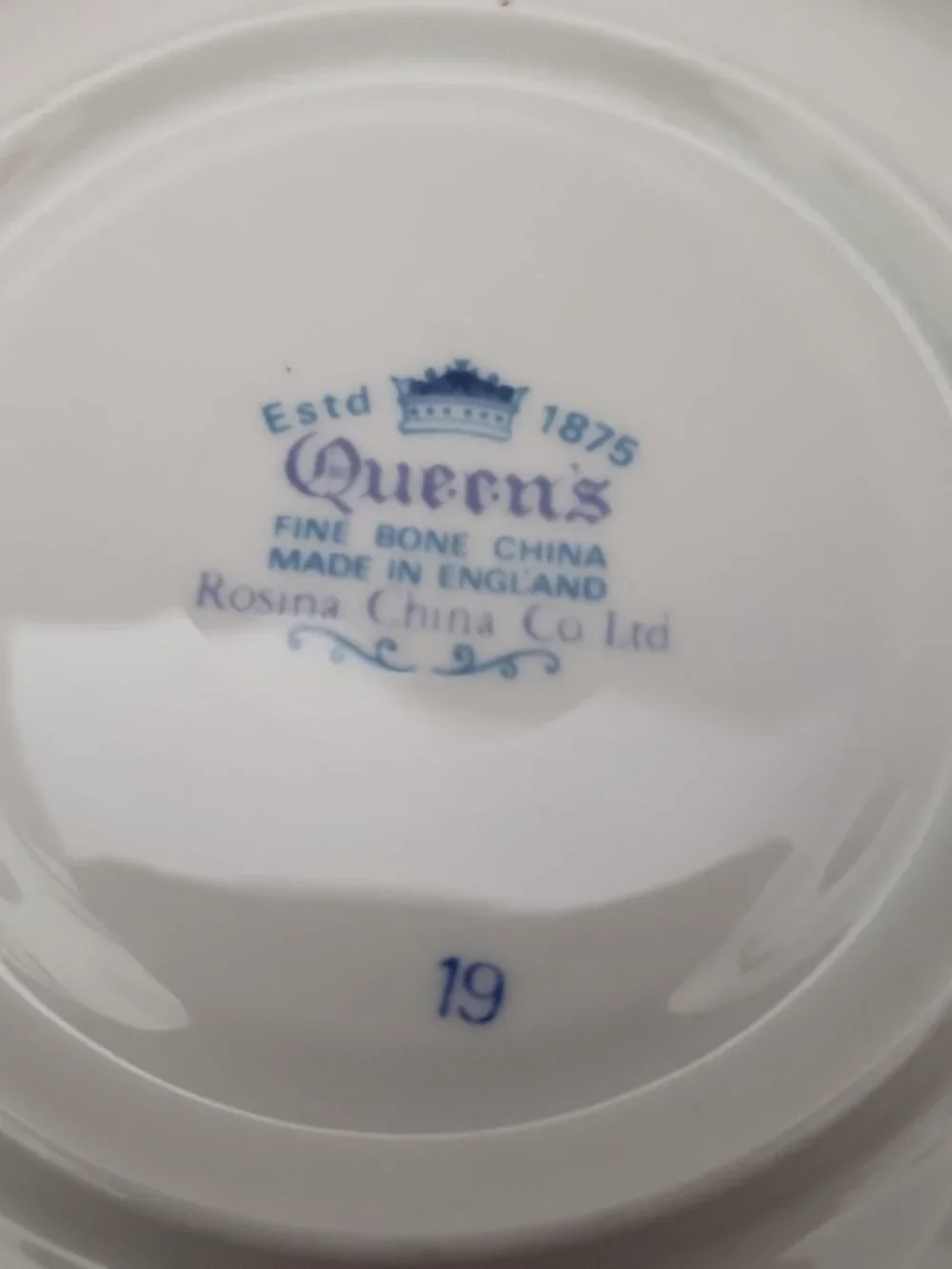 Vintage Rosina Queen's Fine Bone China Floral Tea Cup & Saucer
